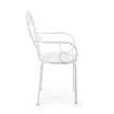 Picture of Outdoor Garden Chair